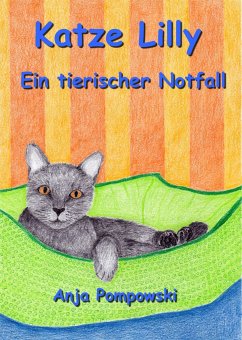 Katze Lilly – Ein tierischer Notfall (eBook, ePUB) - Pompowski, Anja