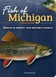 Fish of Michigan Field Guide (eBook,... - Bild 1
