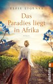 Am Kap der goldenen Träume / Südafrika-Roman Bd.2