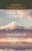 Angelus Omnibus: SECRETS OF THE ARCOS: Book Two