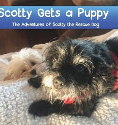 Scotty Gets a Puppy - Janiga, Tamara E