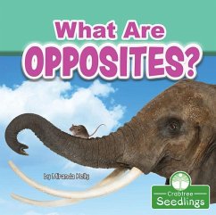 What Are Opposites? - Kelly, Miranda