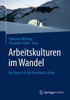 Arbeitskulturen im Wandel (eBook, PDF)