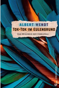 Tok-Tok im Eulengrund (eBook, ePUB) - Wendt, Albert