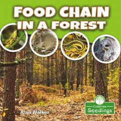 Food Chain in a Forest - Walker, Alan
