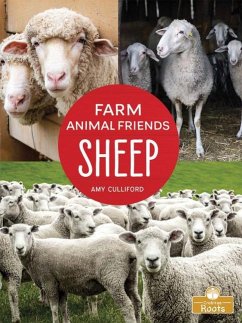 Sheep - Culliford, Amy