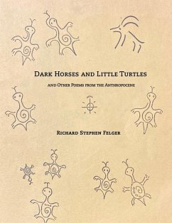 Dark Horses and Little Turtles - Felger, Richard Stephen