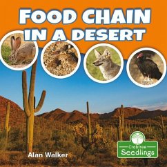 Food Chain in a Desert - Walker, Alan