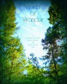 North of Wonder (eBook, ePUB)