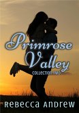Primrose Valley Collection Two (eBook, ePUB)