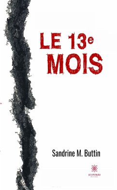 Le 13e mois (eBook, ePUB) - Sandrine