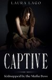 Captive (eBook, ePUB)