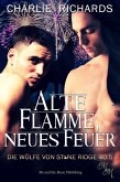 Alte Flamme, neues Feuer (eBook, ePUB)
