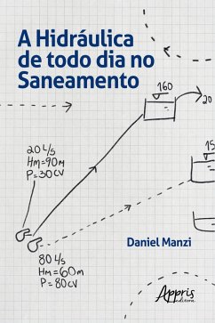 A Hidráulica de Todo Dia no Saneamento (eBook, ePUB) - Manzi, Daniel