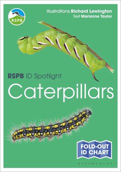 RSPB ID Spotlight - Caterpillars - Taylor, Marianne