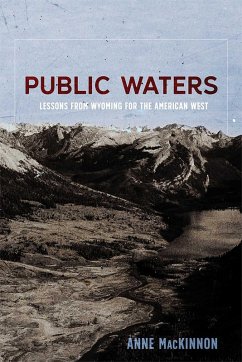 Public Waters (eBook, ePUB) - MacKinnon, Anne