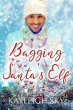 Bagging Santa's Elf (eBook, ePUB) - Bild 1