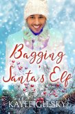 Bagging Santa's Elf (eBook, ePUB)