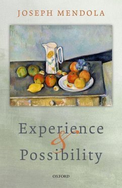 Experience and Possibility - Mendola, Joseph