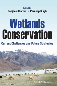 Wetlands Conservation