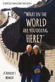 What in the World Are You Doing Here?: A Traveler's Memoir