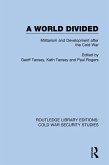 A World Divided (eBook, PDF)