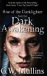 Dark Awakening - Bild 1