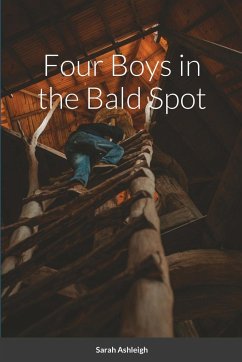 Cover Four Boys in the Bald Spot