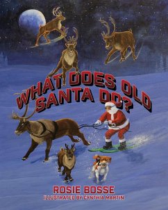 What Does Old Santa Do? - Bosse, Rosie