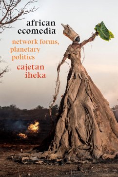 African Ecomedia - Iheka, Cajetan