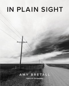 In Plain Sight - Bretall, Amy