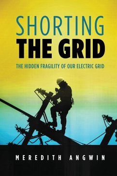 Shorting the Grid - Angwin, Meredith