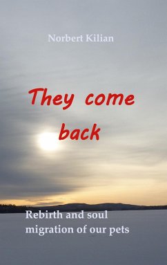 They come back (eBook, ePUB) - Kilian, Norbert
