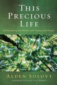 This Precious Life: Encountering the Divine with Poetry and Prayer - Solovy, Alden