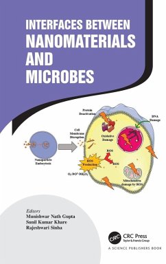 Interfaces Between Nanomaterials and Microbes