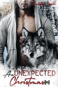 Cover An Unexpected Christmas (eBook, ePUB)