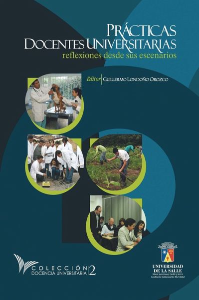 Prácticas docentes universitarias (eBook, ePUB)
