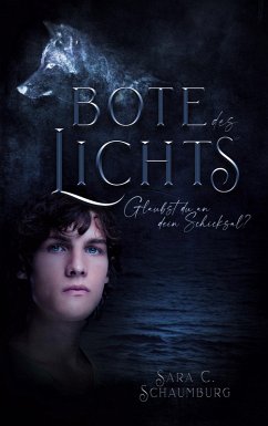 Bote des Lichts (eBook, ePUB)