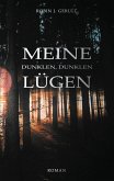 Meine dunklen, dunklen Lügen (eBook, ePUB)