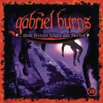 Folge 25: ...dem Winter folgte der Herbst (Remastered Edition) (MP3-Download)