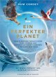 Ein perfekter Planet - Bild 1