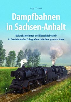 Dampfbahnen in Sachsen-Anhalt - Thiele, Ingo