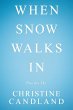 When Snow Walks In - Bild 1
