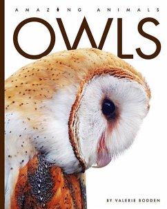 Cover Owls