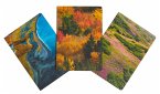 Refuge Sewn Notebook Collection (Set of 3)
