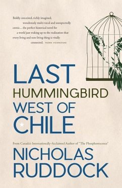 Last Hummingbird West of Chile - Ruddock, Nicholas