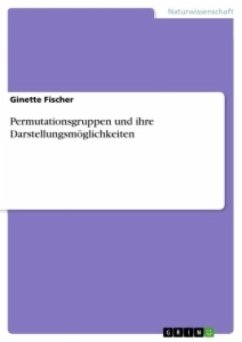 Permutationsgruppen und ihre Darstellungsmöglichkeiten - Fischer, Ginette