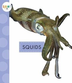 Squids - Schuh, Mari C