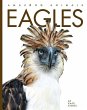 Eagles - Bild 1