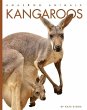 Kangaroos - Bild 1